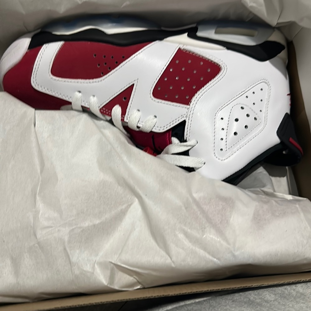 Jordan 6 retro grade school